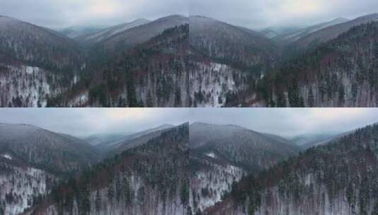 冬天的松林山脉鸟瞰高清在线视频素材下载