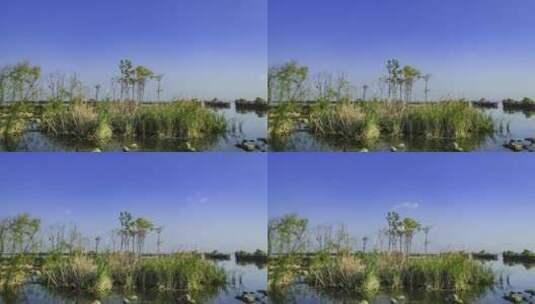 南滇池国家湿地公园延时高清在线视频素材下载