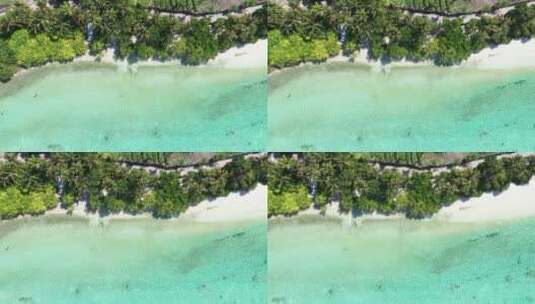 鸟瞰有着绿色棕榈树的热带海滩高清在线视频素材下载