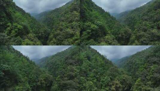 广西南宁绿色森林大明山航拍高清在线视频素材下载