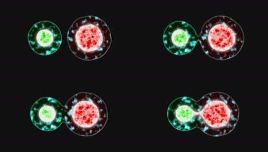细胞对比展示素材高清在线视频素材下载