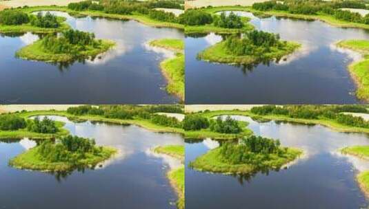 航拍令人惊叹的绿色沼泽和蓝色池塘高清在线视频素材下载