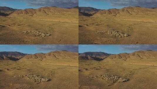 甘肃白银永泰古城牧羊群风光航拍高清在线视频素材下载