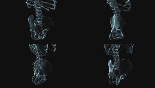 腰椎和骨盆医学动画高清在线视频素材下载