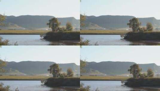 松花江边的一棵树高清在线视频素材下载