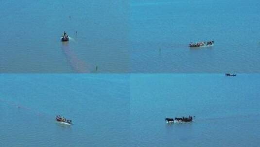 赶海 海面 海滩 出海 马车 渔民 捕鱼高清在线视频素材下载