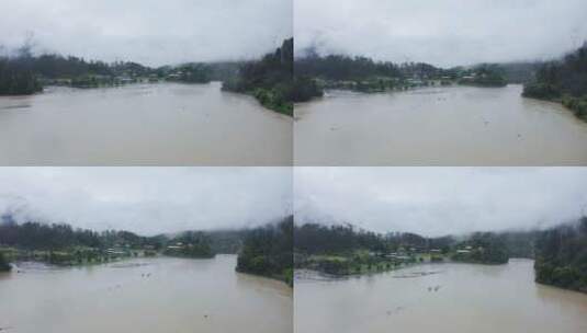 航拍雨雾天的波密岗云杉林风景高清在线视频素材下载