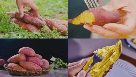 新鲜红薯高清在线视频素材下载