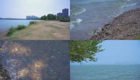 武汉江夏悦湖公园4K视频合集高清在线视频素材下载