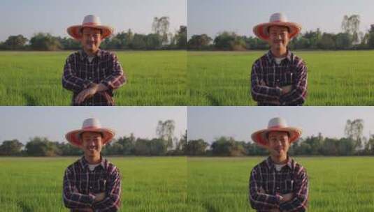 站在稻田里双臂交叉微笑的农民慢镜头高清在线视频素材下载