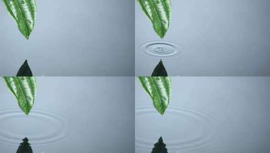 水从绿叶上流到水池里高清在线视频素材下载