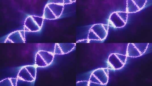 紫色发光能量螺旋 dna 科学医学背景4K高清在线视频素材下载