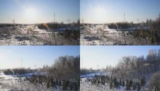 冬天坝上塞罕坝林地雪地与树挂高清在线视频素材下载