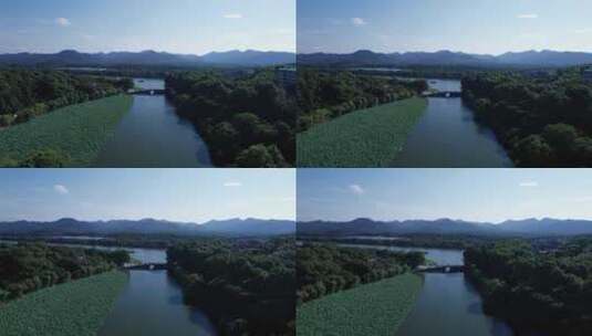 杭州西湖航拍 西湖荷花航拍高清在线视频素材下载