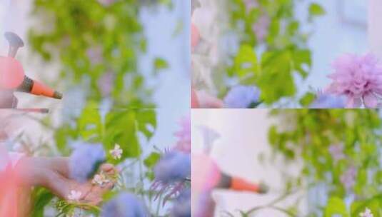 花园浇花少女喷壶喷水花丛微距高级感唯美高清在线视频素材下载
