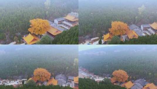 山东济南淌豆寺秋天航拍寺庙高清在线视频素材下载