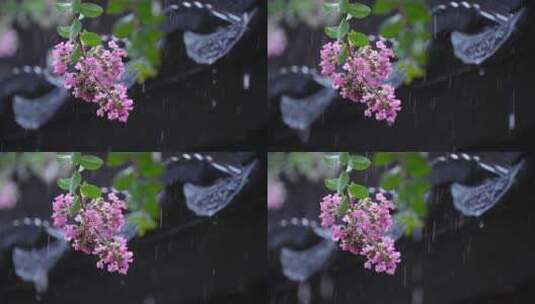 下雨天紫薇花和屋檐瓦片高清在线视频素材下载