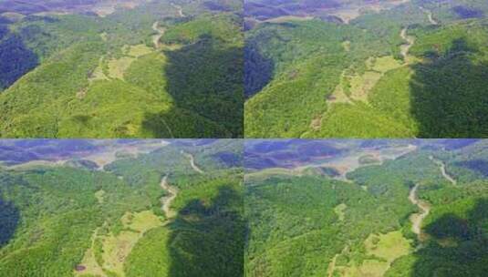 航拍森林树木青山山脉自然风景高清在线视频素材下载