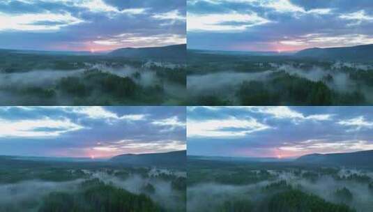 航拍夕阳下的云雾森林高清在线视频素材下载