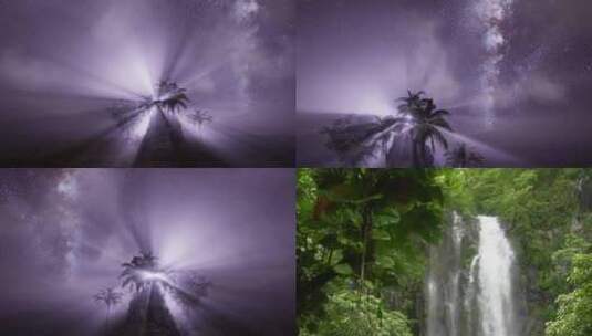 【合集】森林 热带雨林景观 树木 夜景 瀑布高清在线视频素材下载