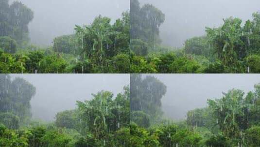 古建筑狂风暴雨高清在线视频素材下载