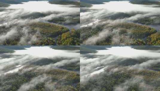 航拍秋季森林河流晨雾缭绕高清在线视频素材下载