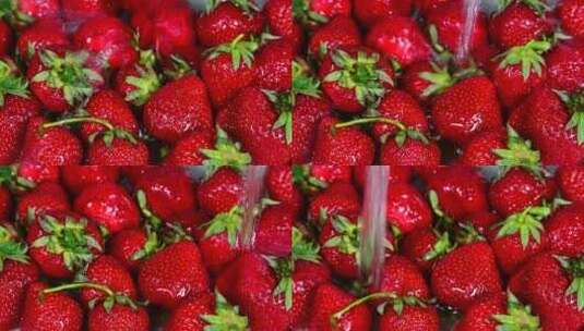 草莓 水果高清在线视频素材下载