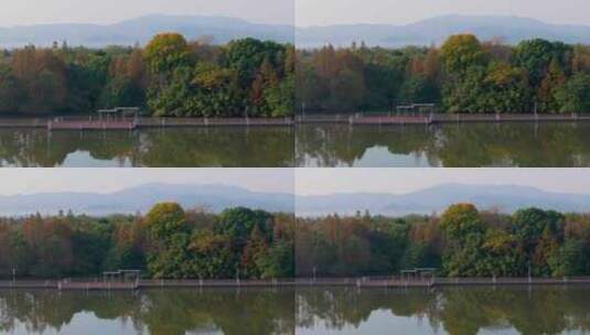 浙江湖州德清下渚湖湿地公园秋色航拍高清在线视频素材下载