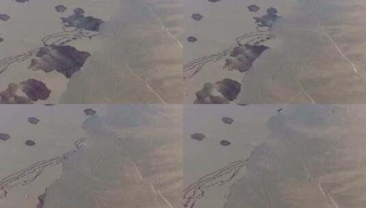 钱塘江潮水湿地滩涂鹭鸟候鸟高清在线视频素材下载