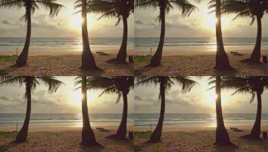 大海沙滩海浪椰子树高清在线视频素材下载