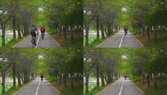骑行爱好者在林间小道骑行高清在线视频素材下载