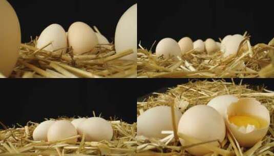 农场新鲜鸡蛋高清在线视频素材下载