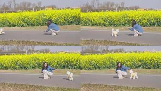 美女和小狗在春天的田野玩耍阳光油菜花海高清在线视频素材下载