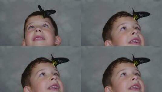蝴蝶语者一个小男孩与大自然精致之美的迷人高清在线视频素材下载