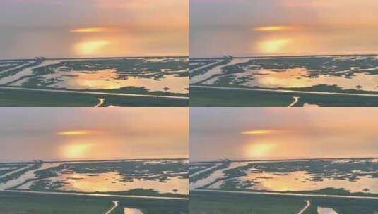 金色日出上海崇明岛东滩湿地全景高清在线视频素材下载