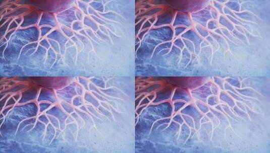 癌细胞与生物医学科研医疗动画三维渲染高清在线视频素材下载