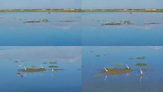 宁夏沙湖景区落日高清在线视频素材下载