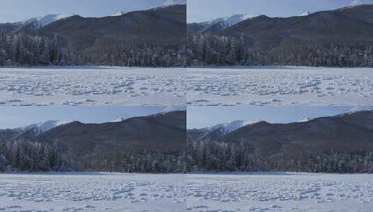 新疆喀纳斯雪景-雪包森林右行高清在线视频素材下载