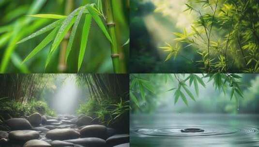 禅意竹林意境竹林光影竹子丁达尔光绿色自然高清在线视频素材下载