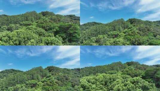 森林天空山峰蓝天白云向上升起拍摄山峰森林高清在线视频素材下载