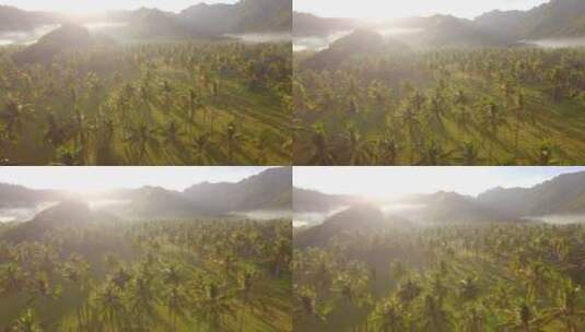 飞越印度尼西亚的迷雾谷高清在线视频素材下载