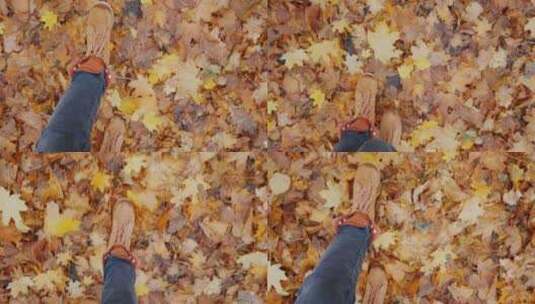 走在秋天落叶的公园里高清在线视频素材下载