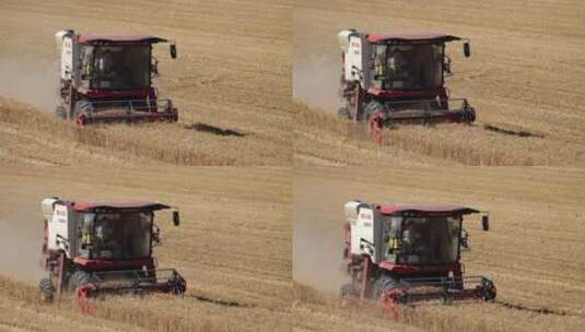 金色麦田小麦收割丰收高清在线视频素材下载
