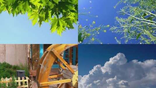 夏天蓝天阳光植物光影合集高清在线视频素材下载