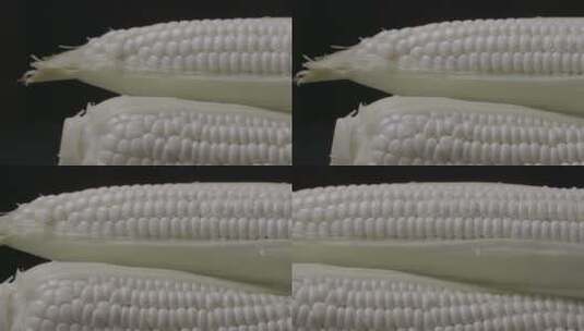 白玉米特写摇镜头展示LOG高清在线视频素材下载
