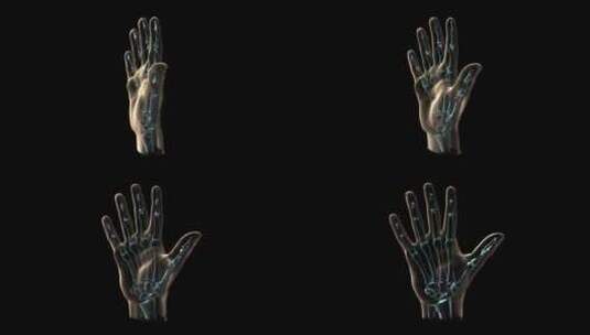 人类手部和骨骼的3D医学动画高清在线视频素材下载