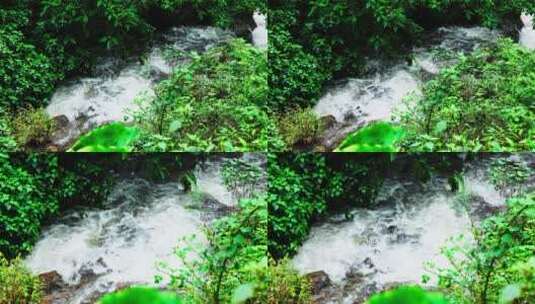 林中小溪 溪水高清在线视频素材下载