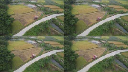 水稻收割机工作航拍高清在线视频素材下载