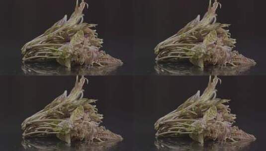 香椿超微距镜头拍摄LOG高清在线视频素材下载