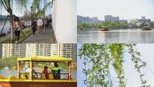 6565 莫愁湖 南京 春天 划船高清在线视频素材下载